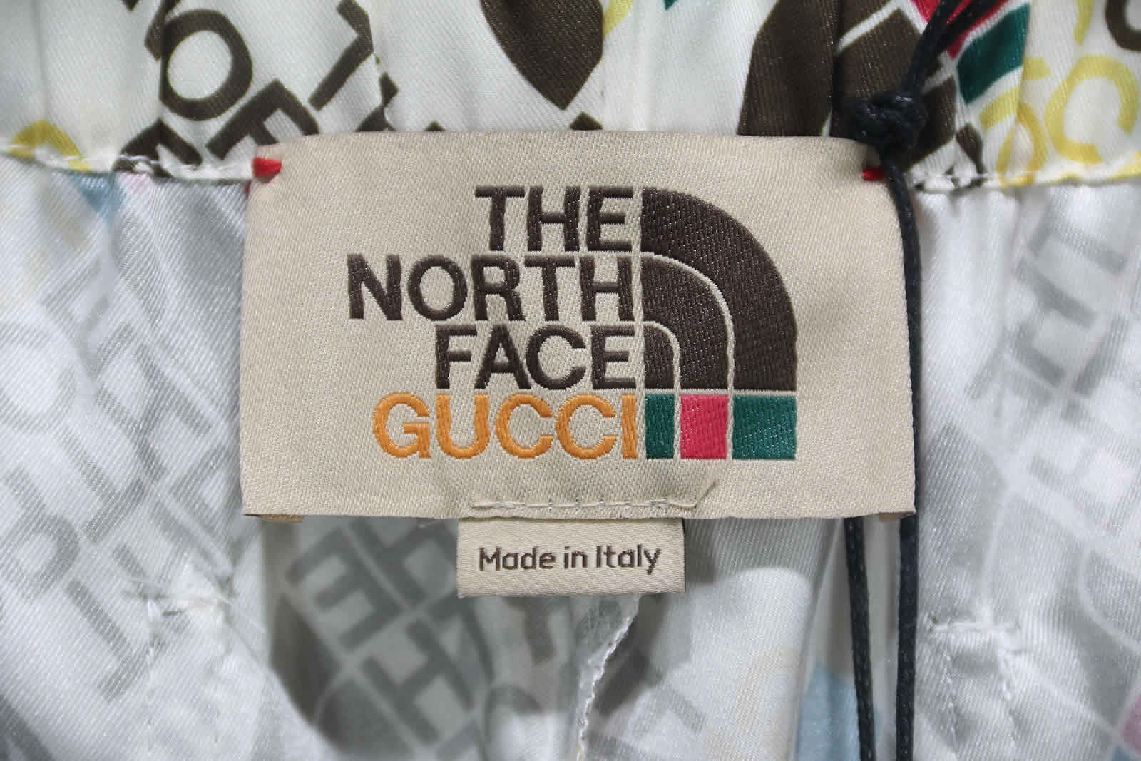 Gucci The North Face Silk Shorts 13 - kickbulk.org