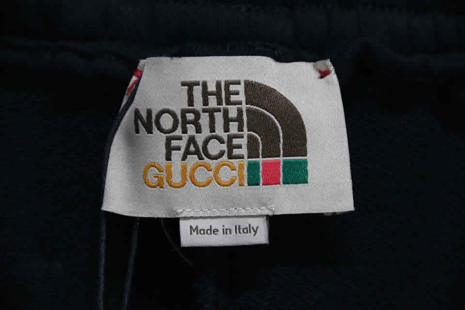 Gucci The North Face Shorts 2021 24 - kickbulk.org