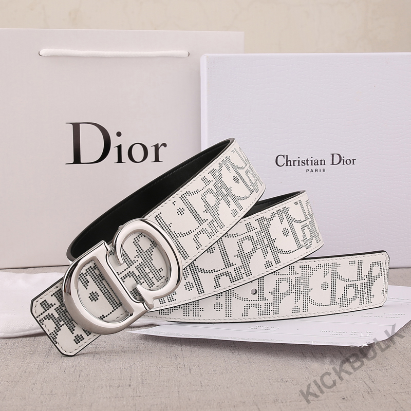 Dior Belt 12 - kickbulk.org