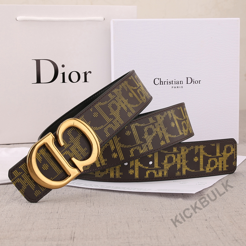 Dior Belt 18 - kickbulk.org