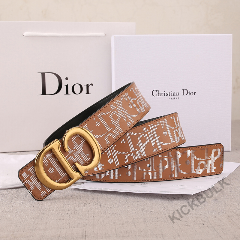 Dior Belt 3 - kickbulk.org