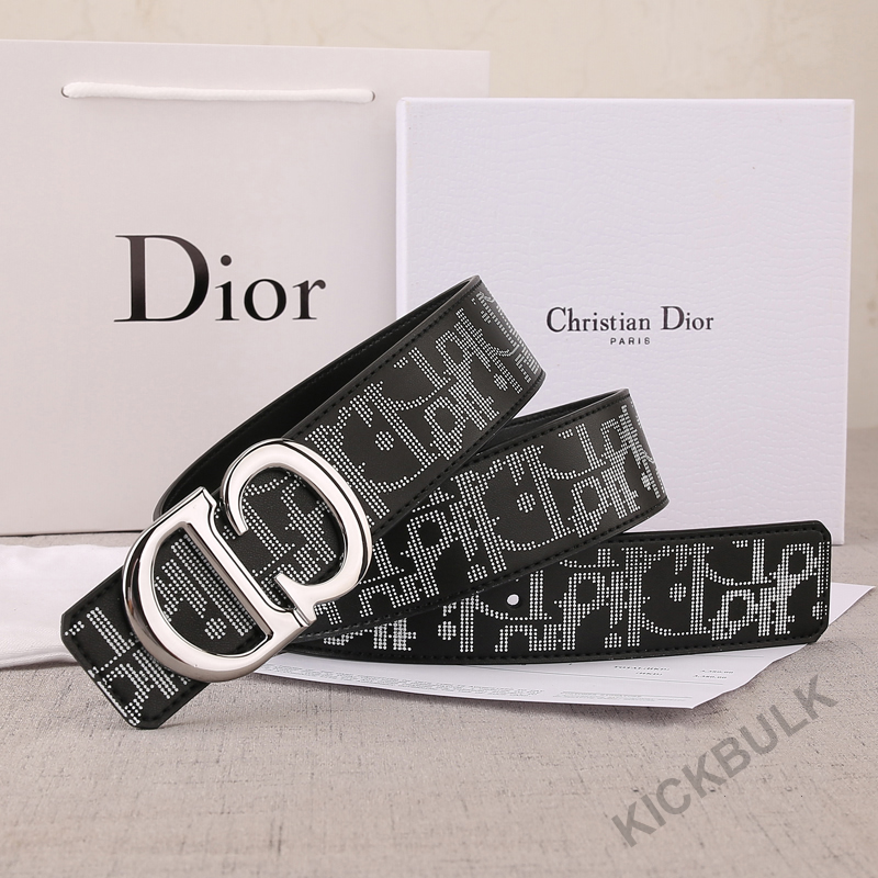 Dior Belt 9 - kickbulk.org