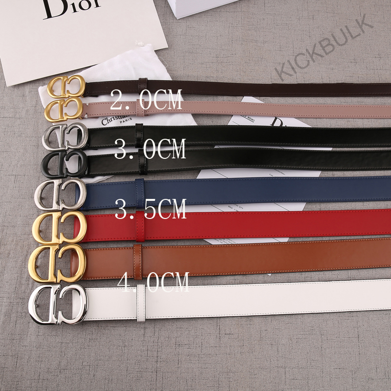 Dior Belt Kickbulk 4 - kickbulk.org