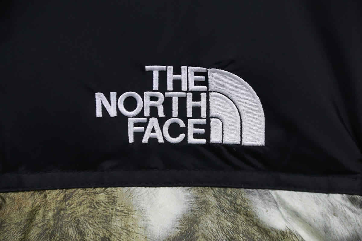 Supreme The North Face Horse Hair Down Jacket 16 - kickbulk.org