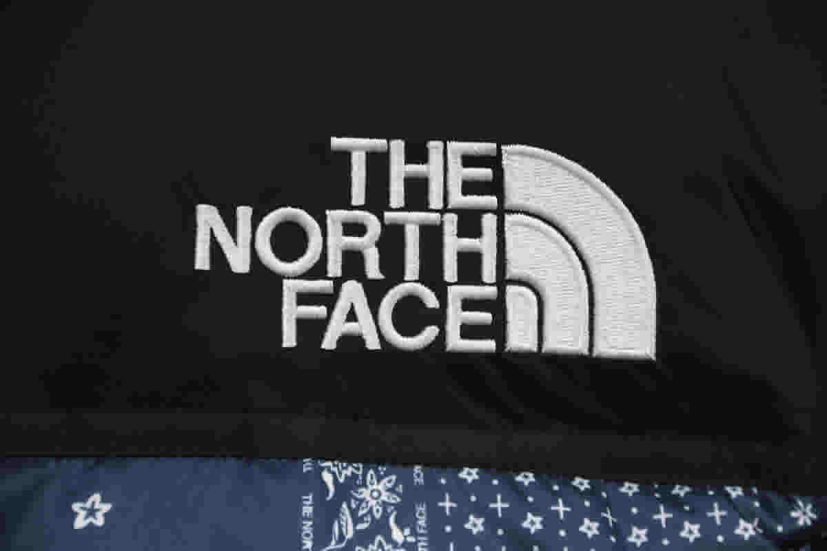 The North Face Cashew Flowers Down Jacket 11 - kickbulk.org
